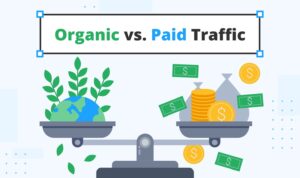 A visual comparison illustrating the differences between organic and paid search traffic in digital marketing strategies