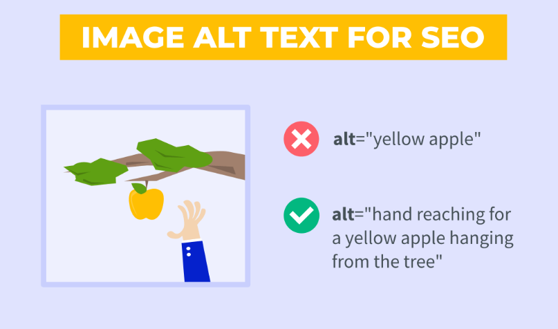 Example of effective alt text for SEO, comparing a simple description to a more detailed and contextually relevant one