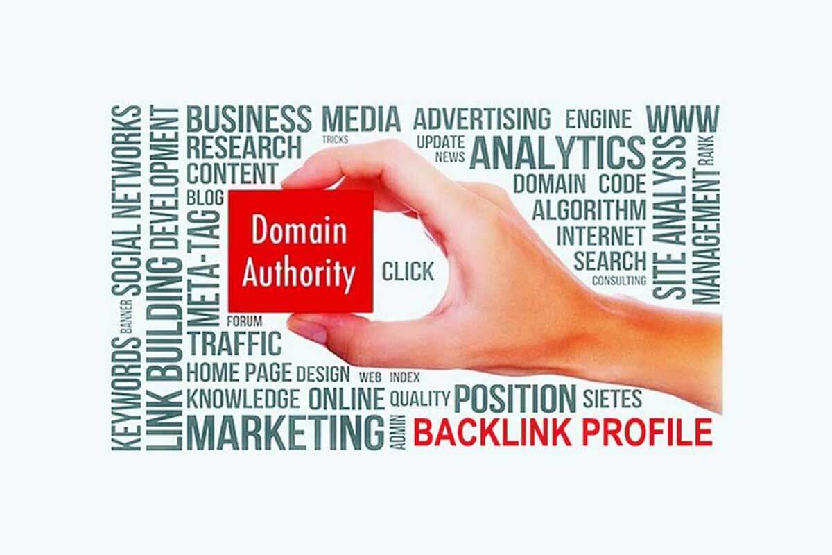 Hand holding a "Domain Authority" block surrounded by SEO keywords, illustrating domain authority, backlink profile, link building, website credibility, and search engine optimization strategies for improving organic rankings